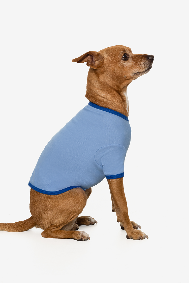Baby Rib Dog T-shirt Carolina Blue/Royal